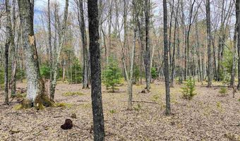 1120 Bighorn Dr, Arkdale, WI 54613