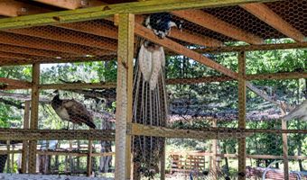 10439 ASHCAKE Rd, Ashland, VA 23005