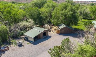 10341 Tongue Creek Rd, Austin, CO 81410