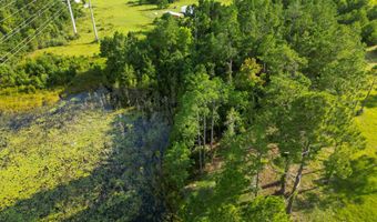 Mcduff Drive, Alford, FL 32420