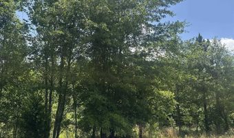 Double Pond Road, Blackville, SC 29817