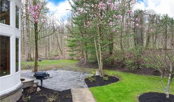 25 River Mountain Dr, Chagrin Falls, OH 44022