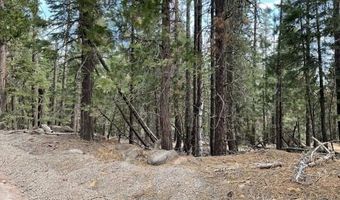 N Overland Dr, Alturas, CA 96101