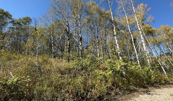 4051 Golden Stone Ln, Ashton, ID 83420