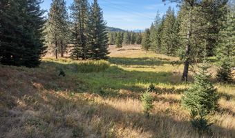 2376 Little Blacktail Rd, Careywood, ID 83809