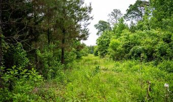 7400 Amon Hill Rd, Bastrop, LA 71220