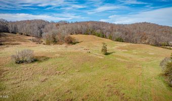 1520 Brittontown Rd, Afton, TN 37616