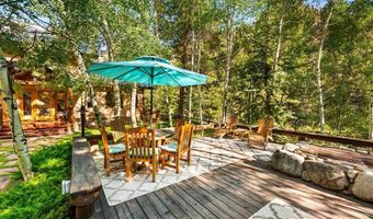 10817 And 10825 County Road 742, Almont, CO 81210