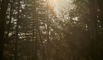 SE Rice Ln, Amity, OR 97101