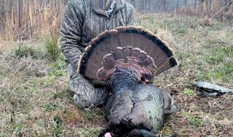 Hwy 9, Bruce, MS 38915