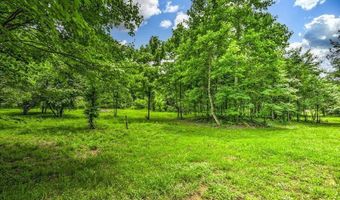 Stone Ridge Drive, Andersonville, TN 37705