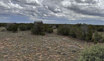 8 County Road 8080, Concho, AZ 85924