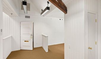 400 W Main St 203, Aspen, CO 81611