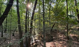 0 Military Rd, Beaverton, AL 35544