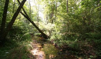 TBA BETTYS BRANCH RD X, Arvonia, VA 23004