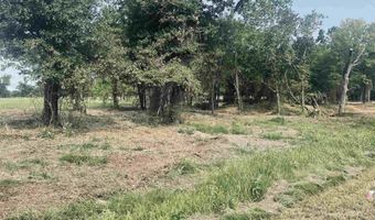 LOT 6 Leach Woods East CR 1560, Alba, TX 75410