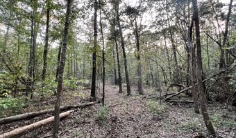 CR 225, Blue Springs, MS 38828