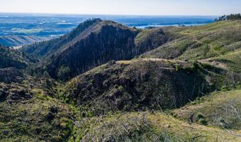 100 Canyon Gulch Rd, Bellvue, CO 80512