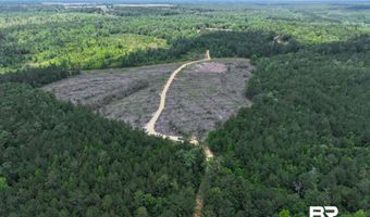 Sardis Church Road, Atmore, AL 36502