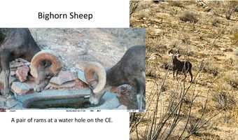 0 Alley Rd, Ajo, AZ 85321