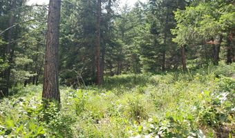 Lot 21 Arlee Pines, Arlee, MT 59821