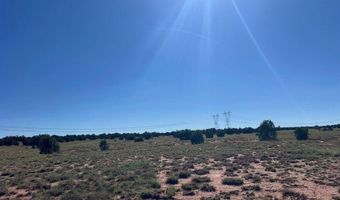 005 N9119, Concho, AZ 85924