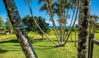 55-3229 AKONI PULE Hwy, Hawi, HI 96719