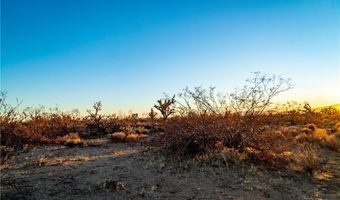 2641 S Javelina Rd, Yucca, AZ 86438