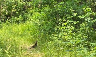 88 Acres Bolden Br, Andrews, NC 28901