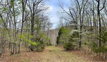 320 Acres CR 921, Alpena, AR 72611