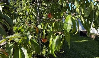 60 Flamingo Ave, Amherst, OH 44001