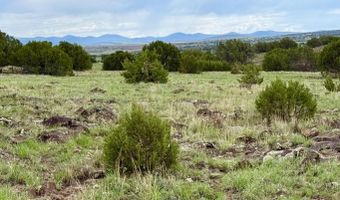 125 Co Rd 8051, Concho, AZ 85924
