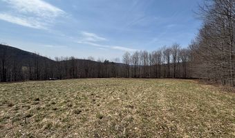 Lot 2 Doig Hollow Road, Andes, NY 13731