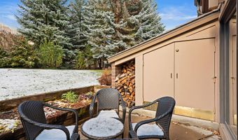 625 S West End St 12, Aspen, CO 81611