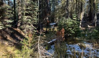 550 Cabbage Patch Log Rd, South Lake Tahoe, CA 95223