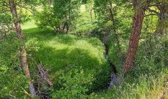 Tract 6 Lone Elk Ranch, Alva, WY 82711