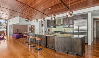 233 E Cooper Ave 301, Aspen, CO 81611