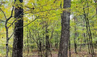 213 Patterson Creek Dr, Alderson, WV 24910