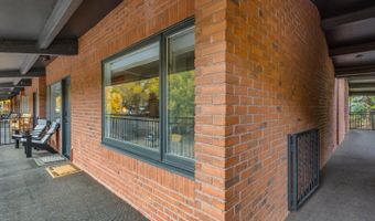 731 S Mill St 3A, Aspen, CO 81611