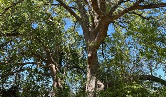 R13945 A0049 J Peterson Tract 11 Acres, Anderson, TX 77830