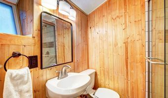 926 Nuthatch Dr, Alma, CO 80420