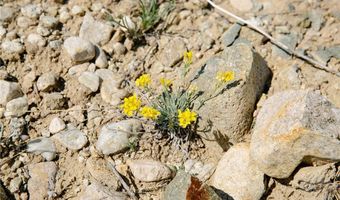 COS 947 Tract 11, Belfry, MT 59008