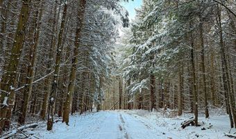 00 Fawn Lake Rd, Addison, NY 14801
