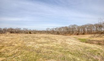 26 Acr Atkins Rd, Anderson, MO 64831