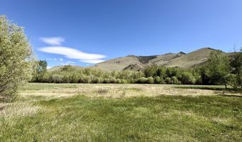 9885 Challis Creek Rd, Challis, ID 83226
