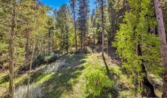 220 Timber Rd, Black Hawk, CO 80422