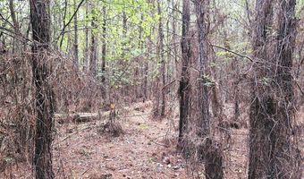 TBD Plowden Mill Road Tract D, Alcolu, SC 29001
