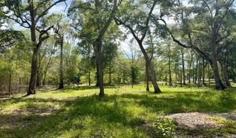 1109 NW 78th Ave, Bell, FL 32619