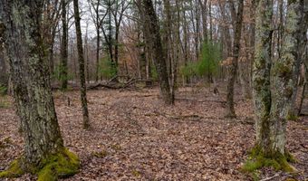 Dover Drive lot 1 14 Ac, Adams, WI 53910