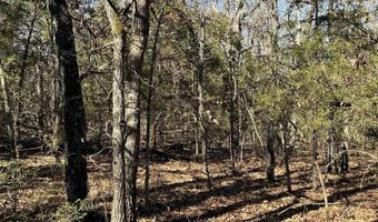 TBD Wolf Hollow Road, Ash Flat, AR 72513